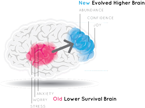 Higher Brain Living Boulder Denver Colorado